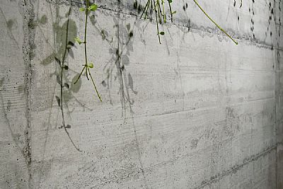 FORM CEMENT 60X120 NAT